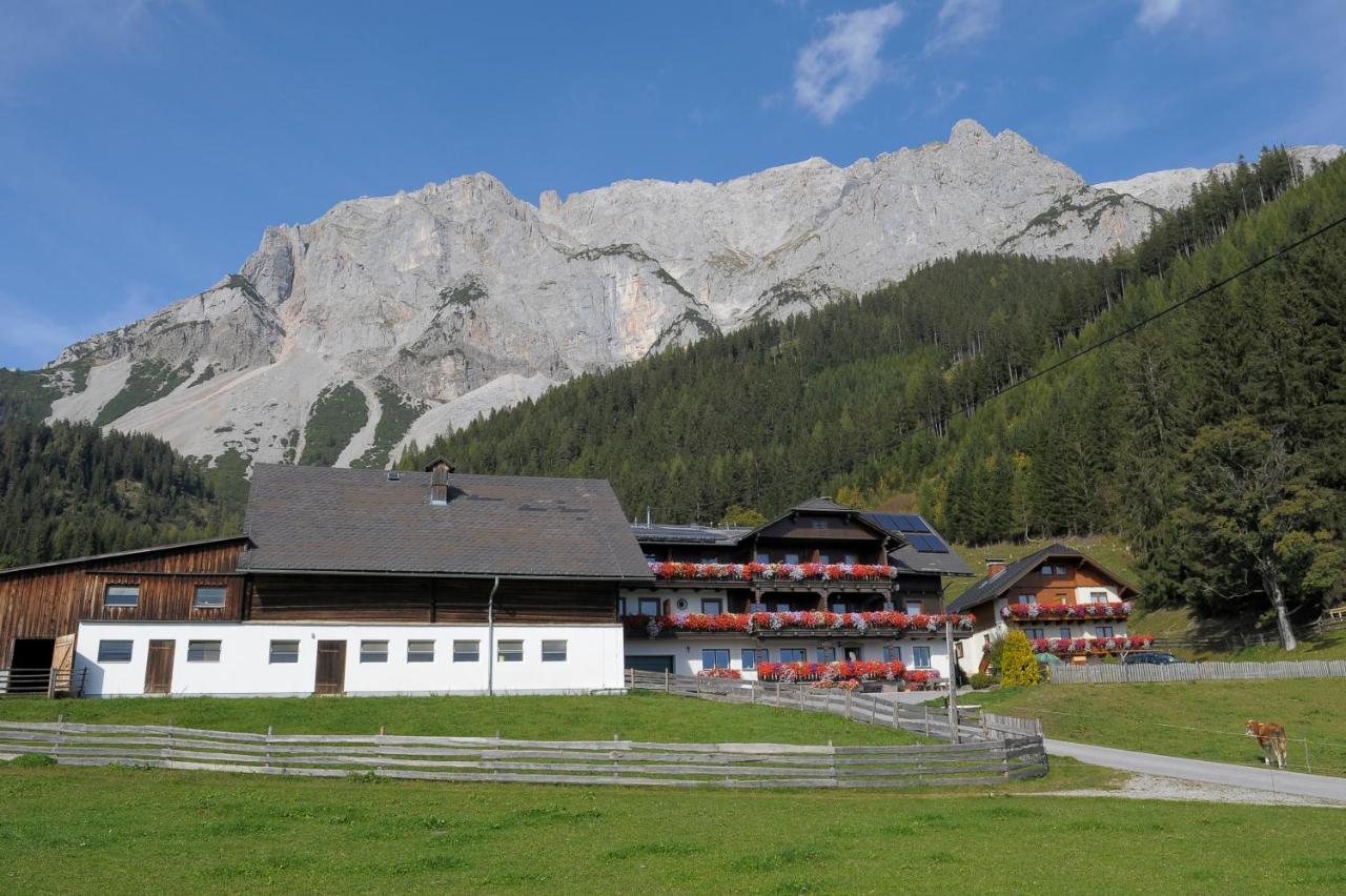Feichtlehnerhof Bed and Breakfast Ramsau am Dachstein Εξωτερικό φωτογραφία