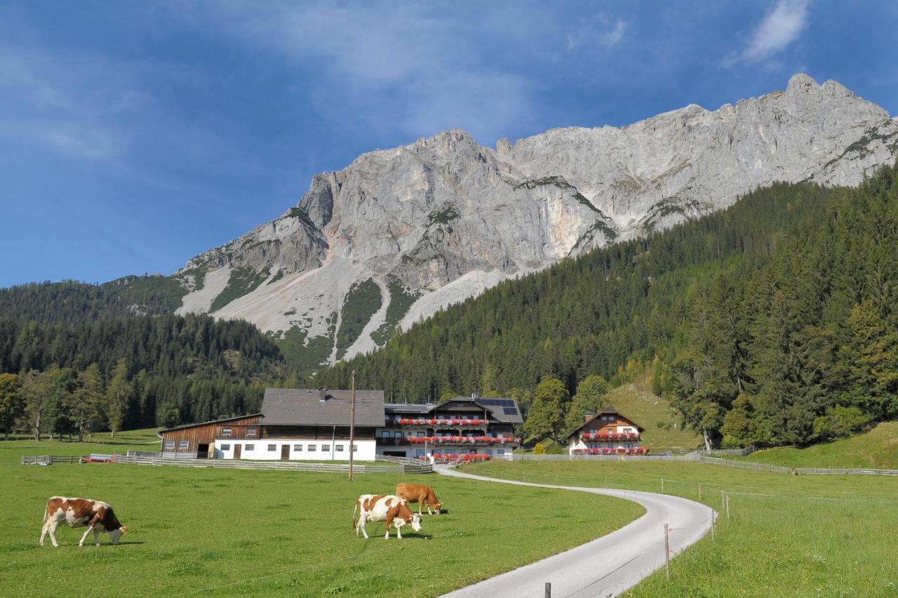 Feichtlehnerhof Bed and Breakfast Ramsau am Dachstein Εξωτερικό φωτογραφία