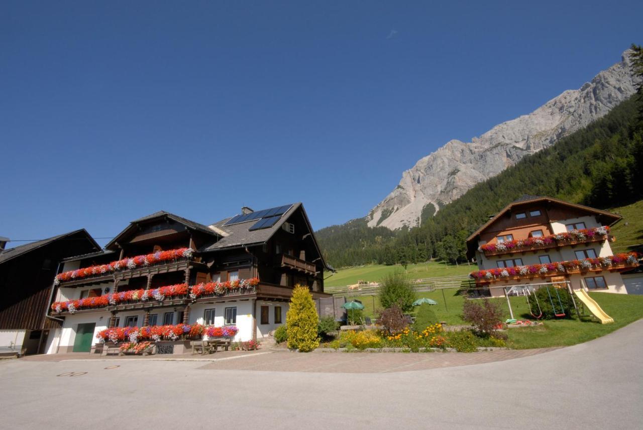 Feichtlehnerhof Bed and Breakfast Ramsau am Dachstein Εξωτερικό φωτογραφία
